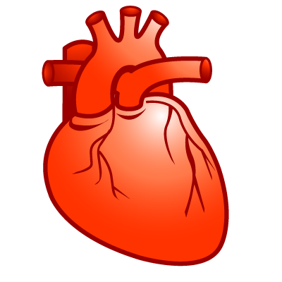 Cardiology and Heart Specialist in Rajshahi City of Bangladesh